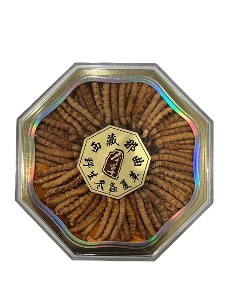 Grade 5A Tibet Wild Cordyceps Sinensis Dong Chong Xia Cao Gift Box 28g 5A级野生西藏冬虫夏草 28克 1安士