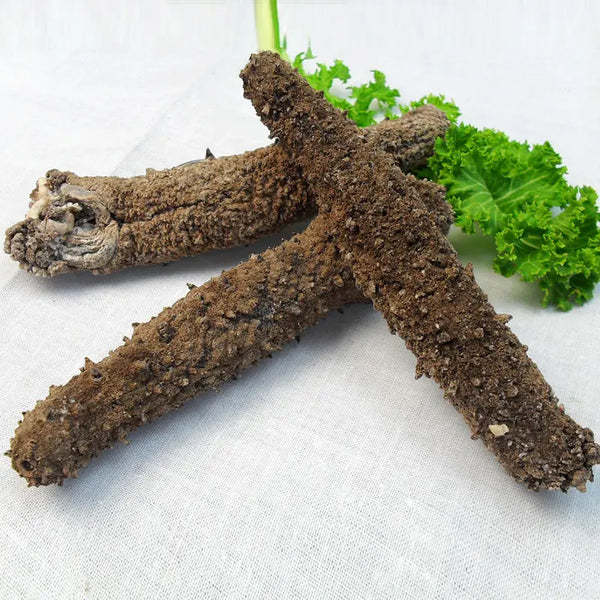 5A Wild Alaska Sea Cucumber 5A野生阿拉斯加红参 10年大号红参 (Parastichopus californicus)