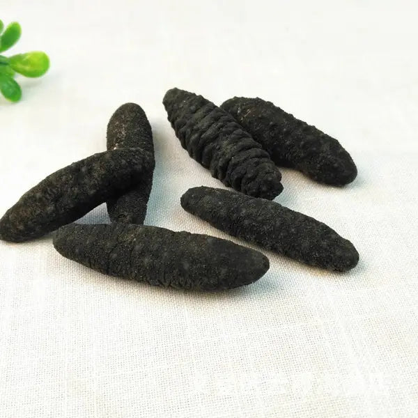 Wild Türkiye Dried Sea Cucumber  野生土耳其黑米刺参 (Mi Ci Shen)